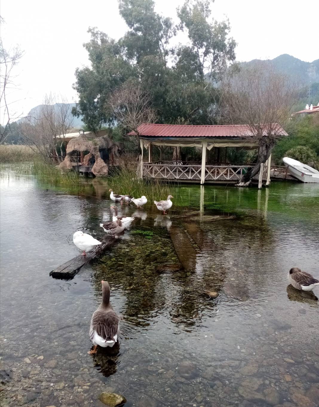 Aşkyaka'dan sevgiler 6