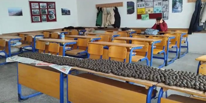 TRABZONLU ÖĞRENCİLERDEN MARMARİS’E TOHUM TOPU SEFERBERLİĞİ