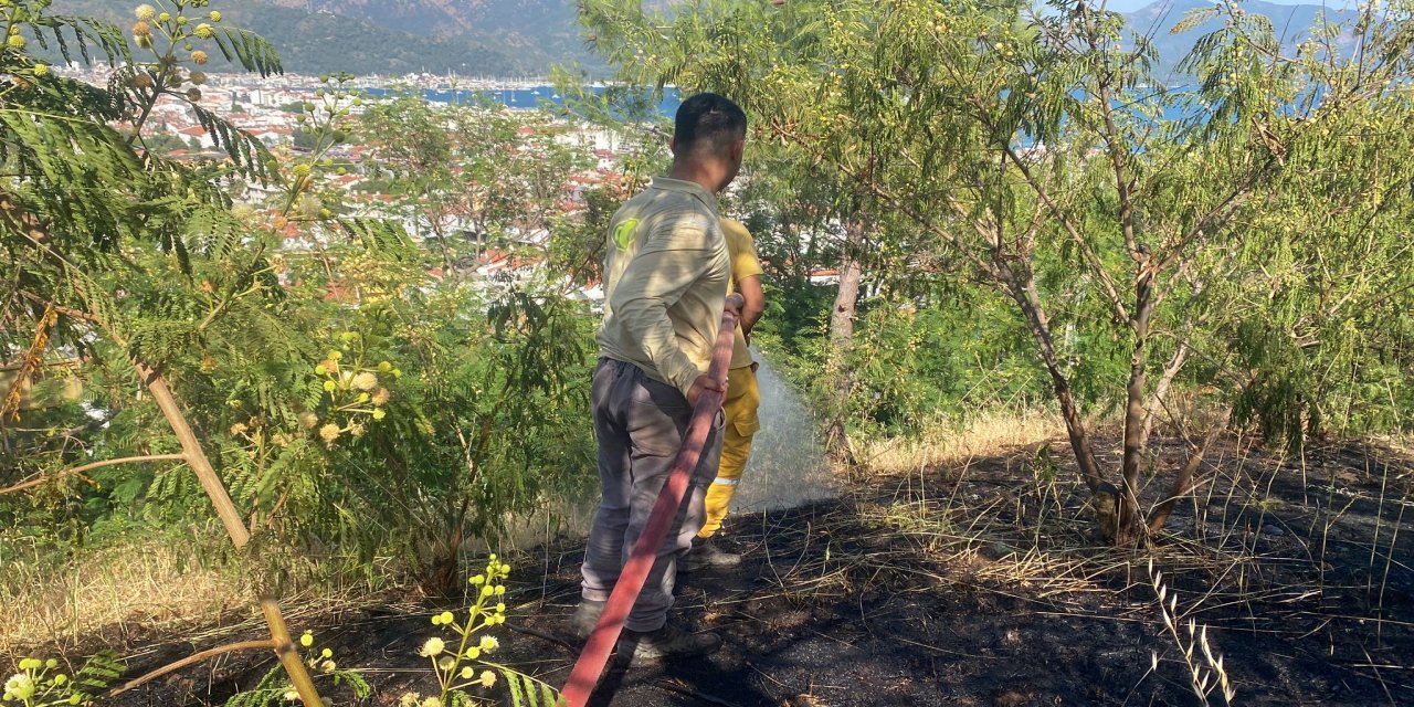 Otluk alanda çıkan yangın ormana sıçramadan kontrol altına alındı