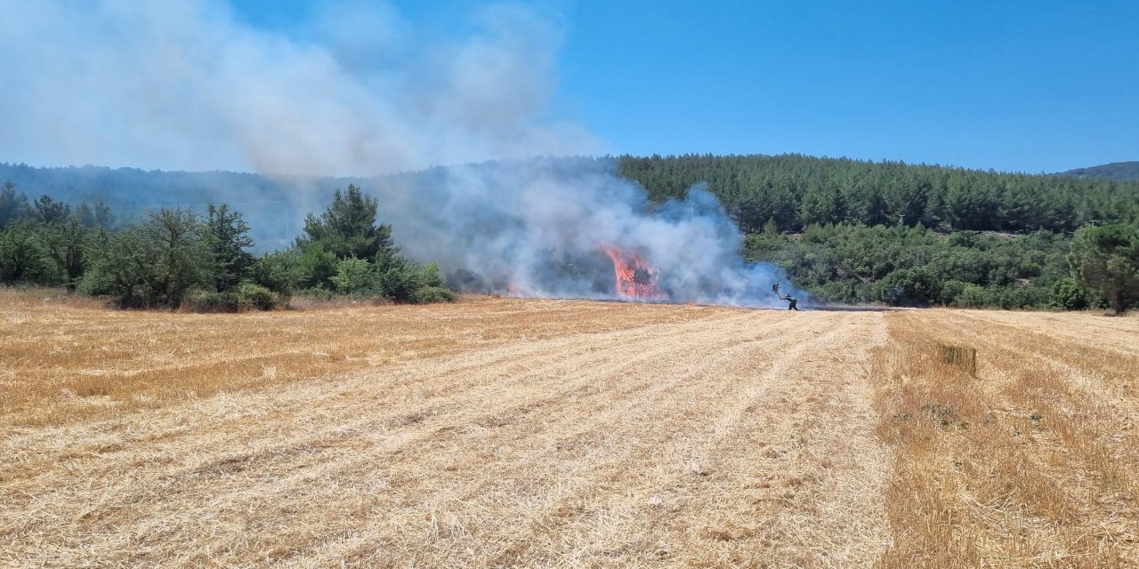 Muğla Merkez'de anız yangını kontrol altına alındı