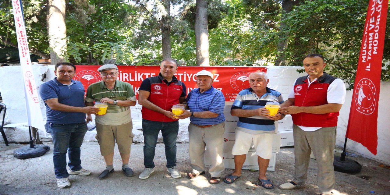 Tarım il müdürlüğü Ören’de 600 tuzak dağıtıldı
