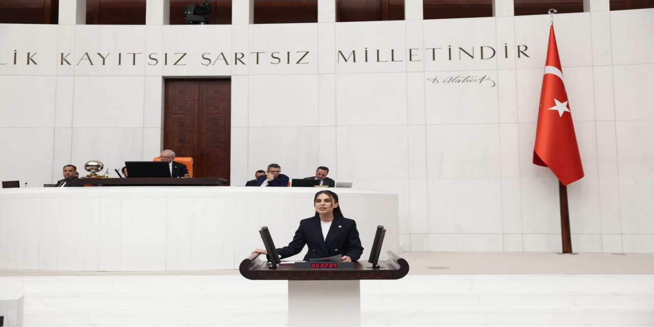 Muğla Milletvekili avukat Gizem Özcan, meclis kürsüsünden Narin için seslendi
