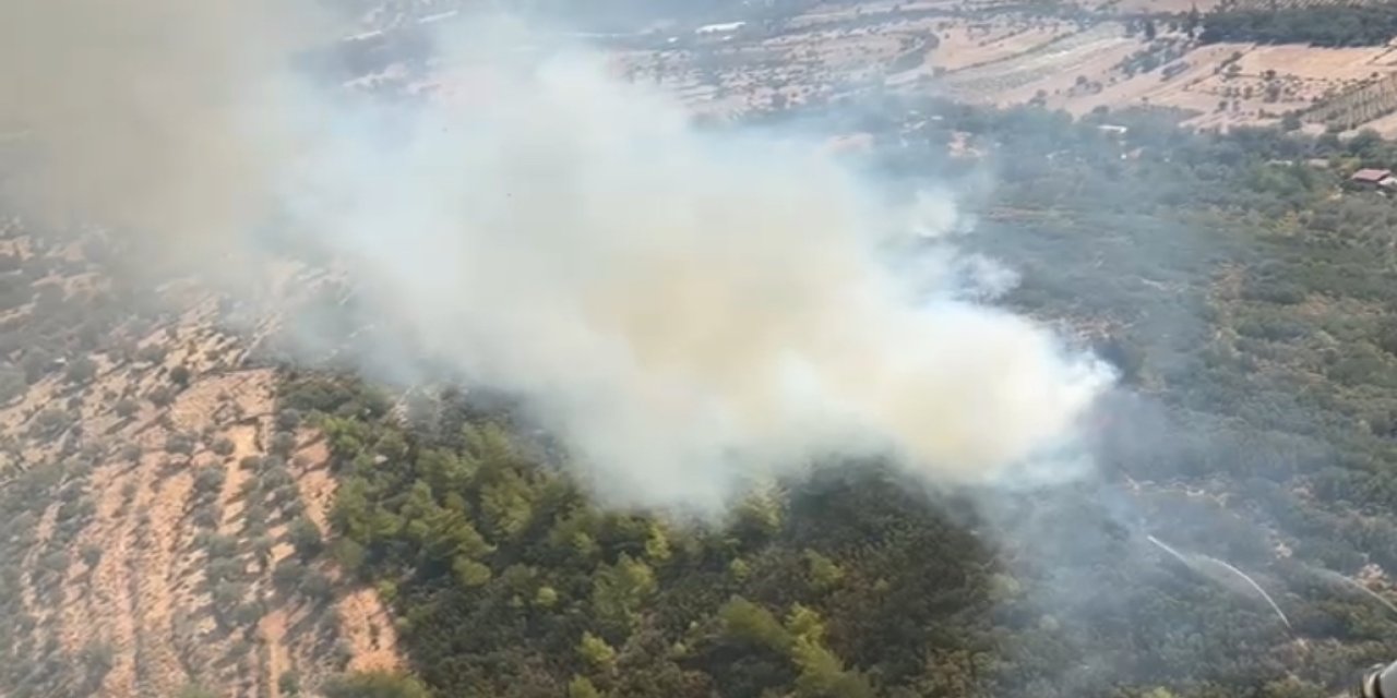 Seydikemer‘de yangın ormana sıçradı