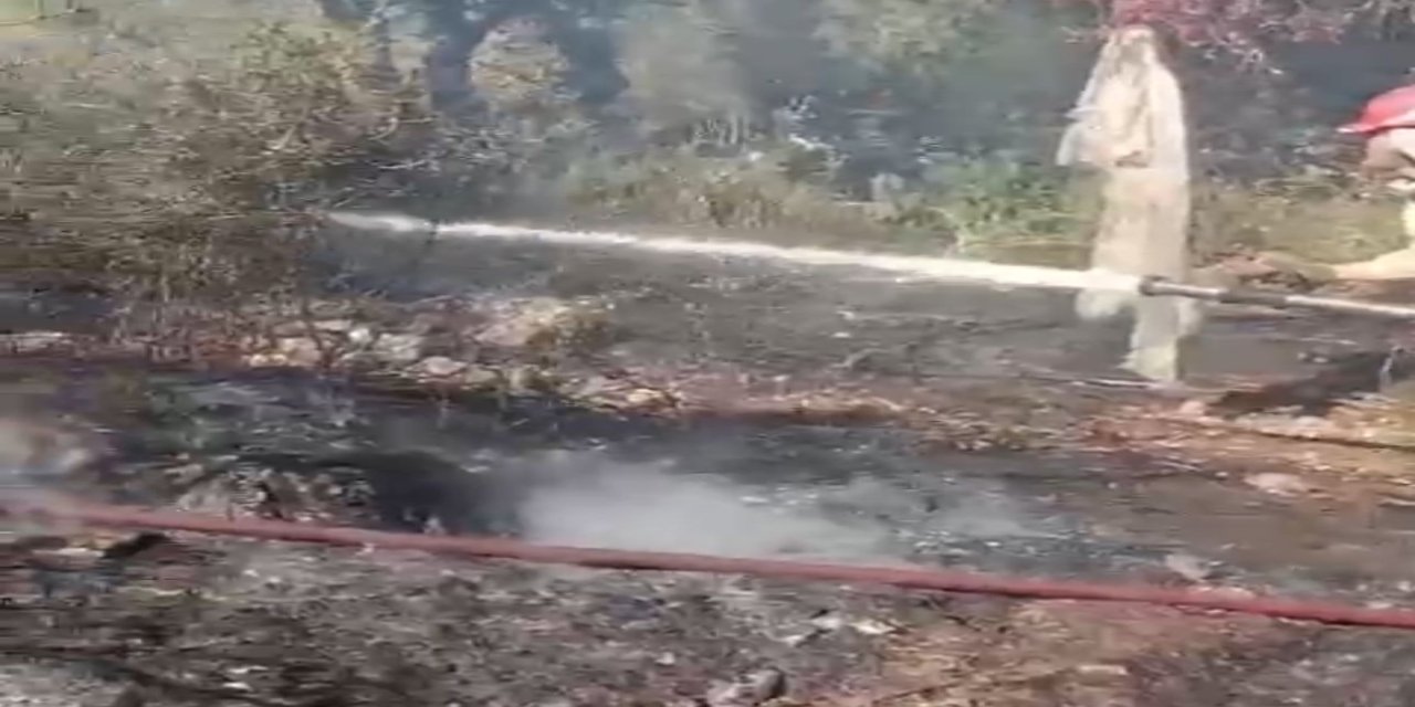 Turunç'ta bahçe temizleyeyim derken ormanı yaktı