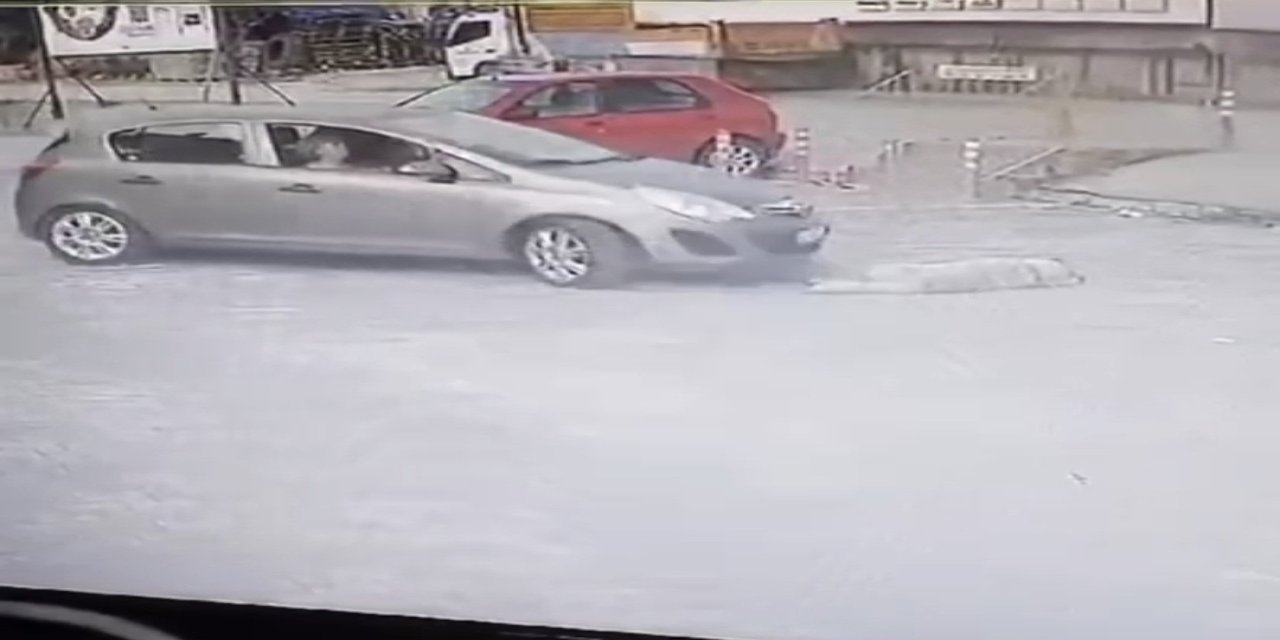 Bodrum’da vicdansız sürücü pes dedirtti