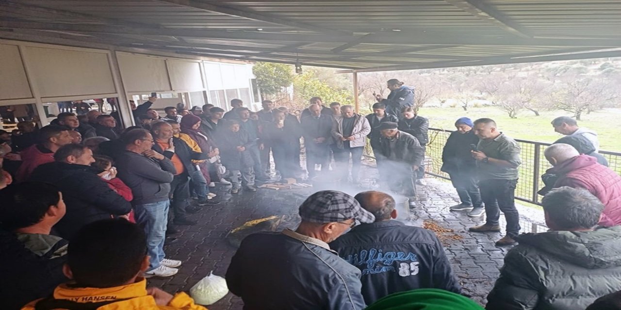 Büyükşehir Datça badem ağaçlarında badem biti ve zeytin zararlarıyla mücadele çalışması başlattı