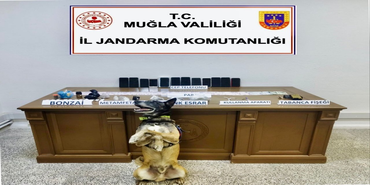 Bodrum' da uyuşturucu operasyonu
