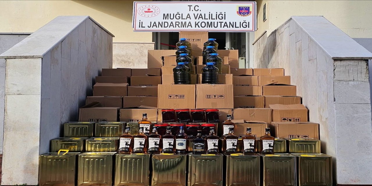 Milas'ta sahte zeytinyağı operasyonu