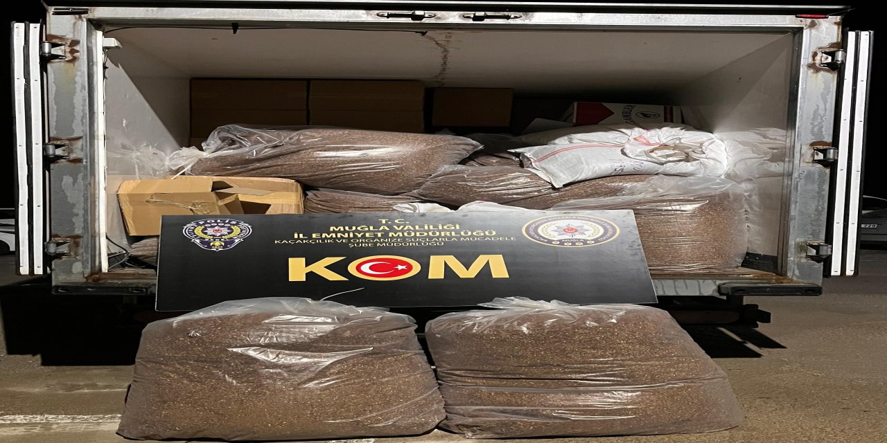 Ortaca ve Dalaman'da kaçak tütün operasyonu