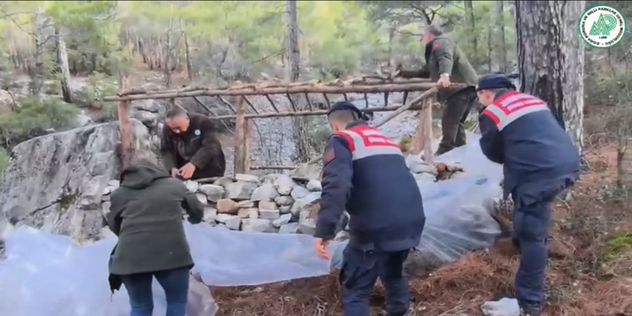 Muğla’da kaçak avcılık ile mücadele