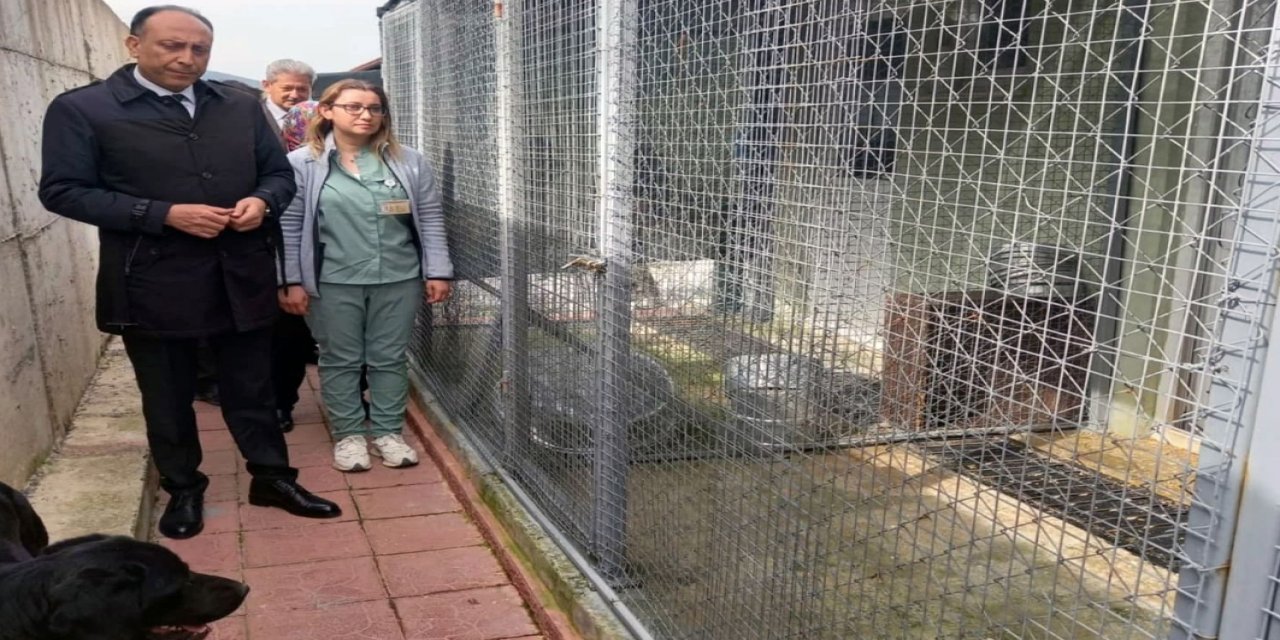 Muğla Büyükşehir belediyesine bağlı hayvan bakımevine denetim