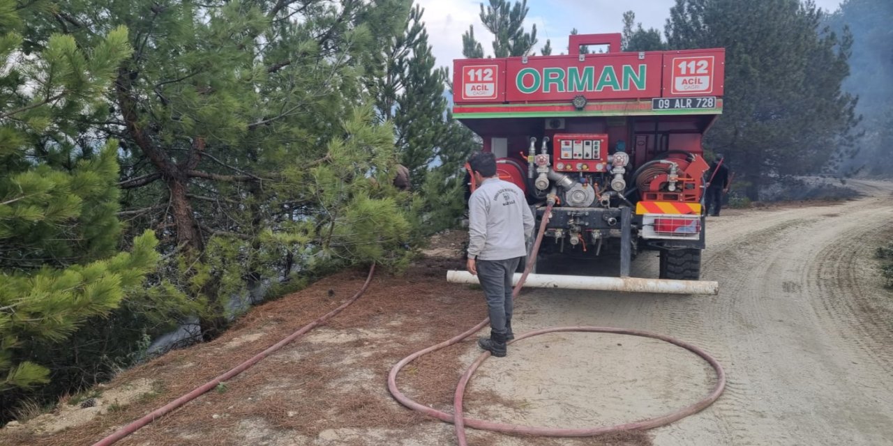 Aydın’da orman yangını çıktı