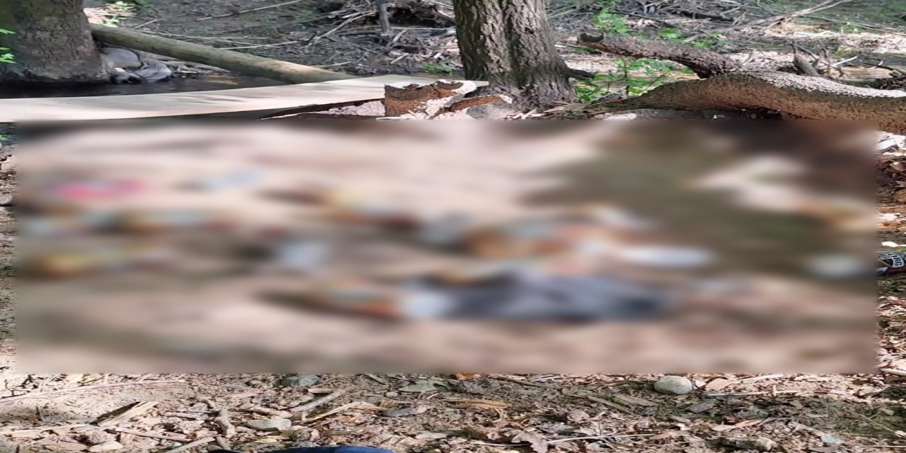 Doğa aşığı öğretmenden sert tepki “doğaya değil, saygısızlığa yenildik“