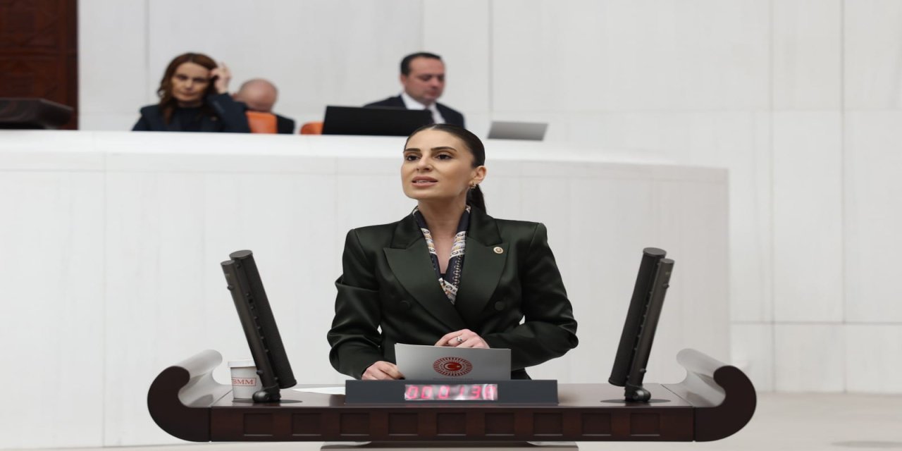 Dalaman Çayı’nın Kalbi Satışta: Özcan Akköprü HES’in Satışını Meclis Gündemine Taşıdı