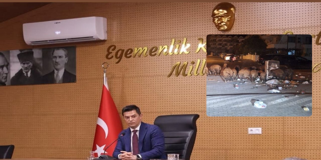 Marmaris’te yaban domuzu uyarısı: “Beslemeyin, mücadeleye destek olun”