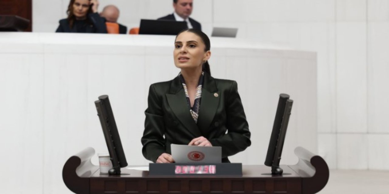 20 Mayıs Dünya Arı Günü’nde CHP’li Özcan’dan Bakanlığa Çağrı: “Arıcıya Destekler Yetersiz, Üretici Zorda!"