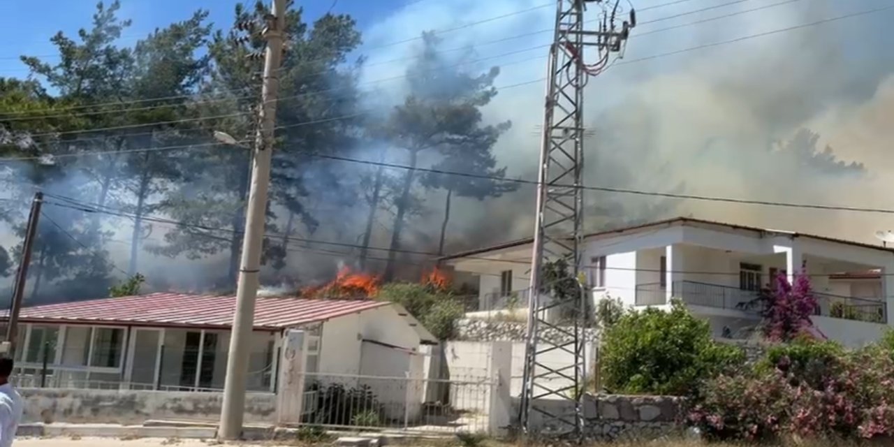 Hisarönü’nde orman yangını çıktı