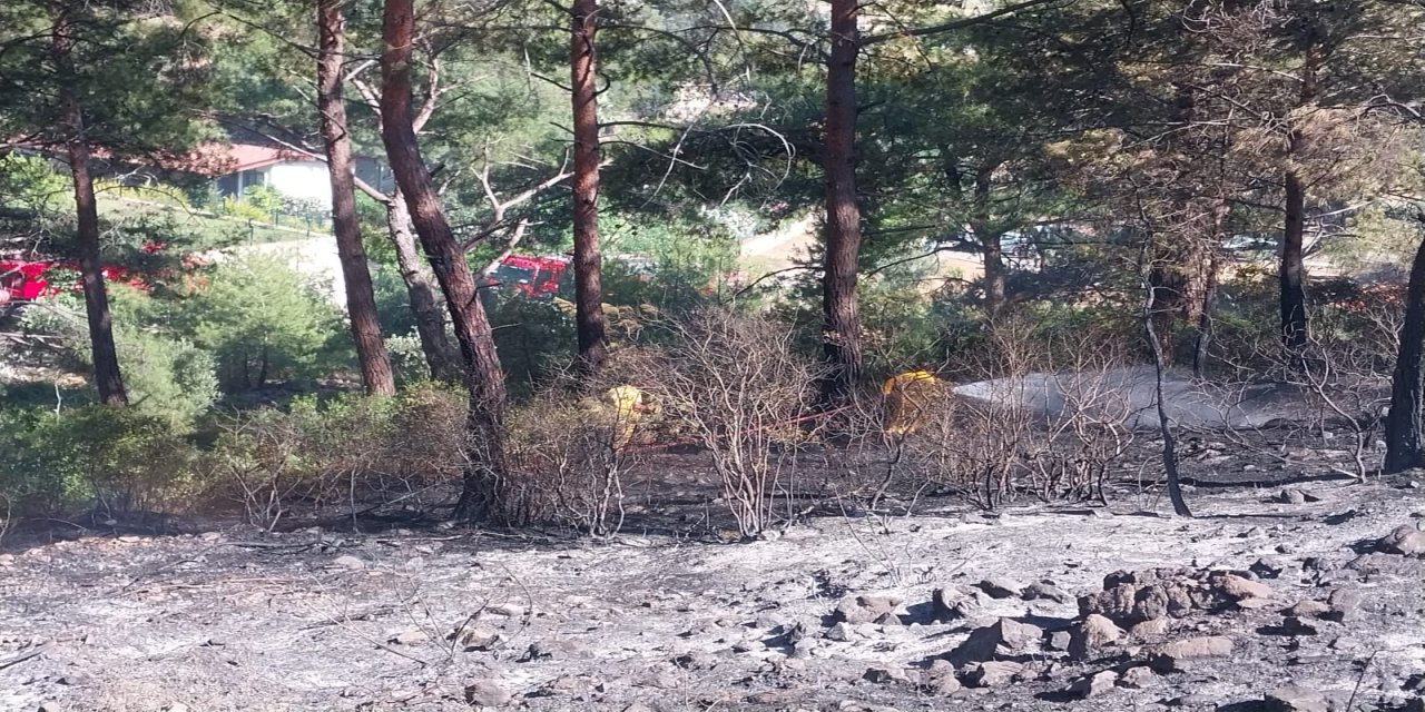 Marmaris Hisarönü’nde çıkan yangın kontrol altına alındı