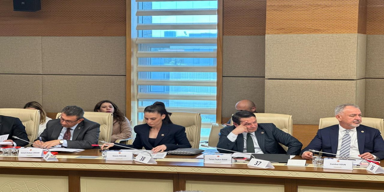 Muğla Milletvekili Gizem Özcan: “Hukukun üstünlüğünde 3. Selim ve Tanzimat öncesi düzeye geriledik”