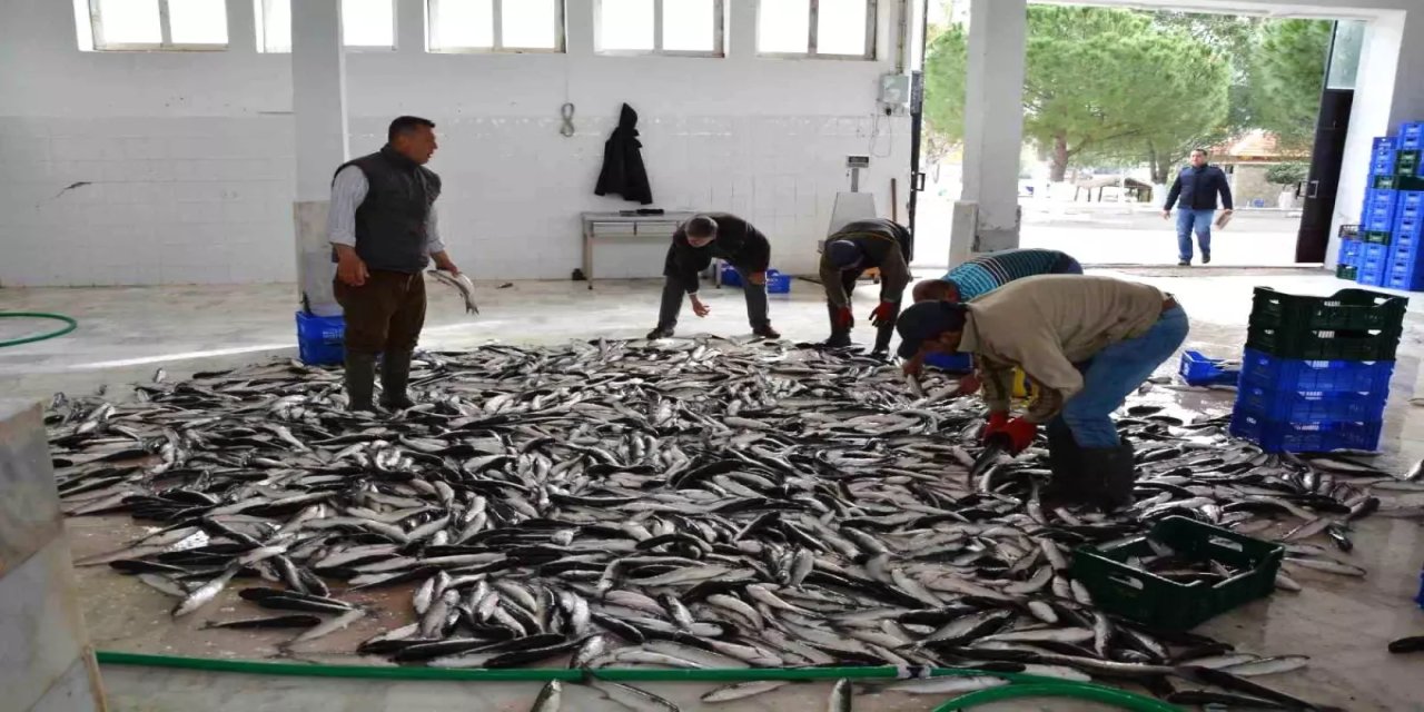 Muğla'nın İhracatı Mayıs'ta Yüzde 11 Arttı