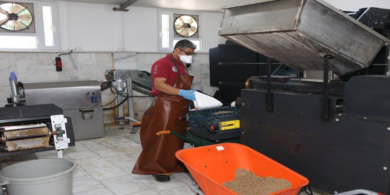 Muğla Büyükşehir hem üretiyor hem de can dostlarını besliyor