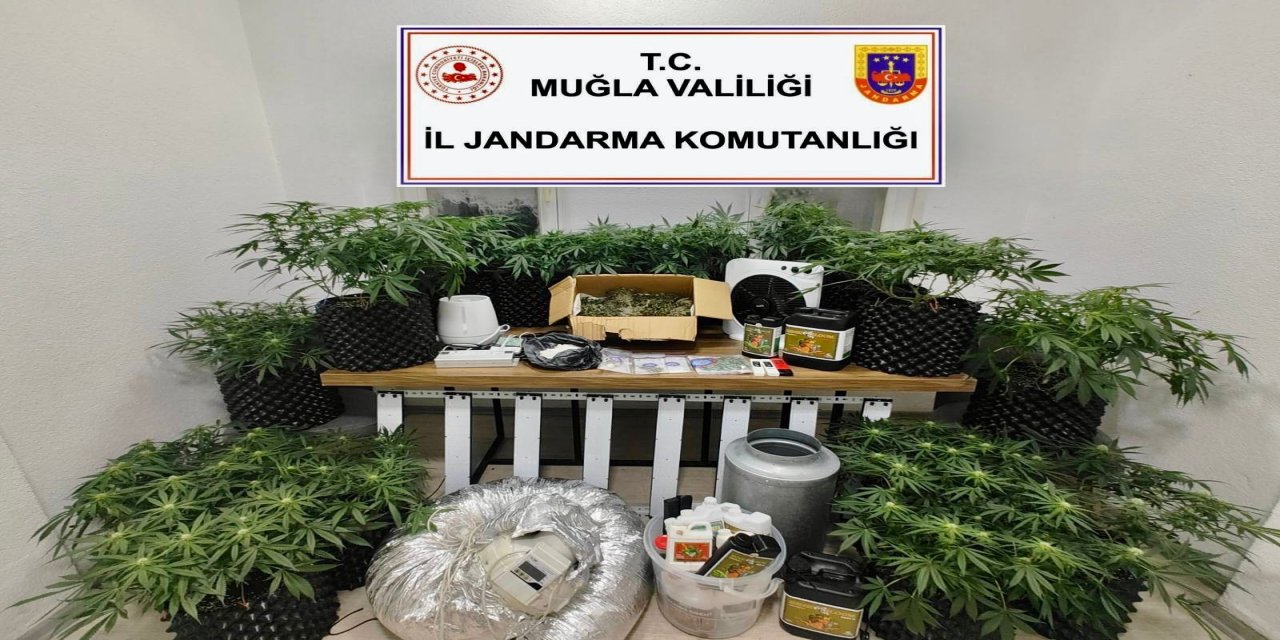 Muğla'da uyuşturucu operasyonunda 1 kişi tutuklandı