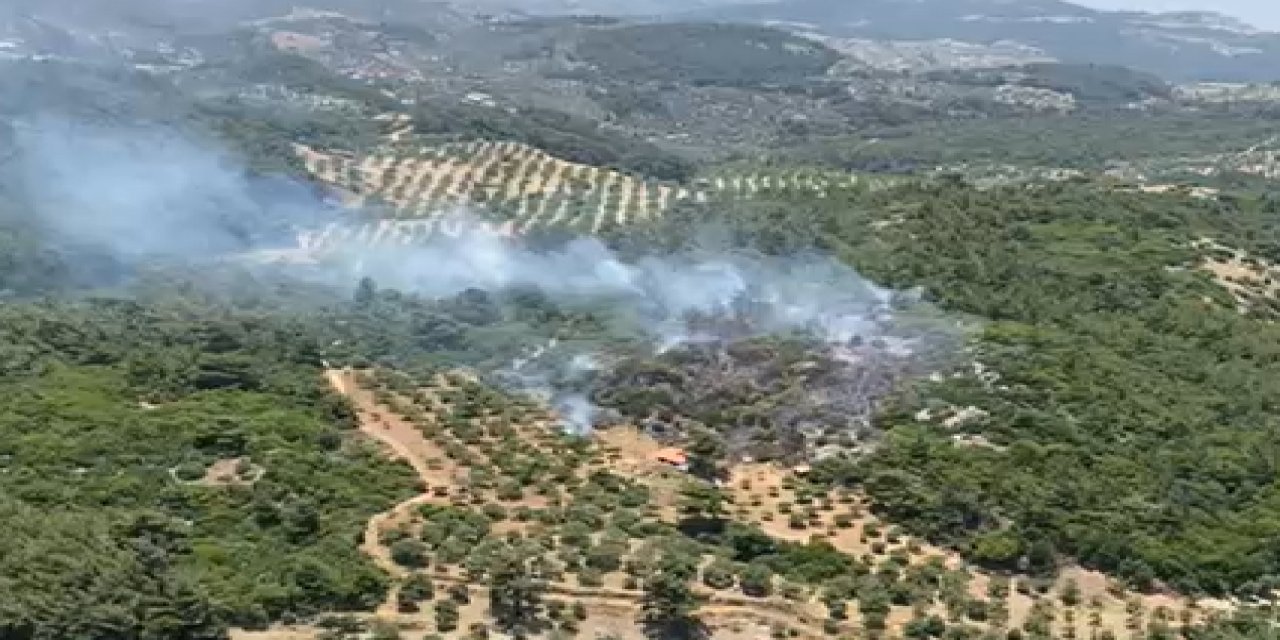 Aydın Germencik’te orman yangını çıktı