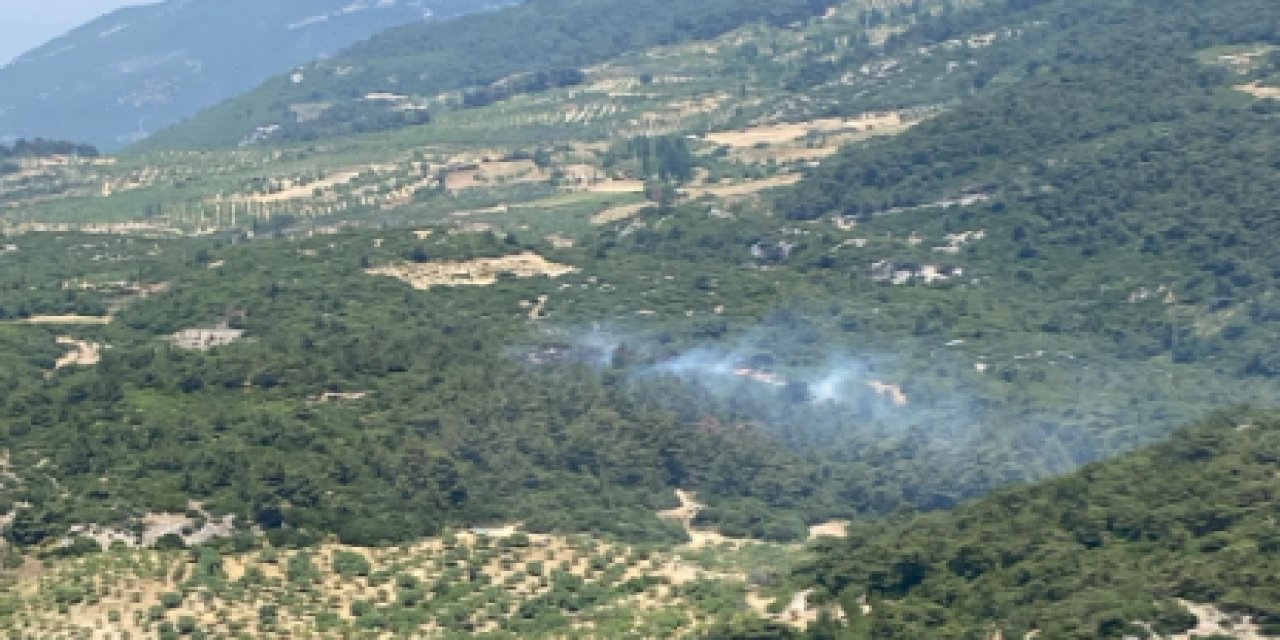 Aydın Germencik’te çıkan orman yangını kontrol altına alındı