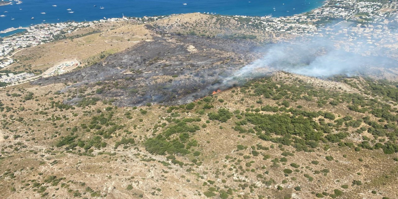 Bodrum Türkbükü'ndeki yangına hızlı müdahale