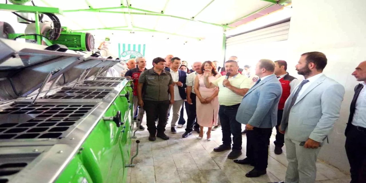 Muğla'da Zeytinyağı etkinlikleri düzenlendi