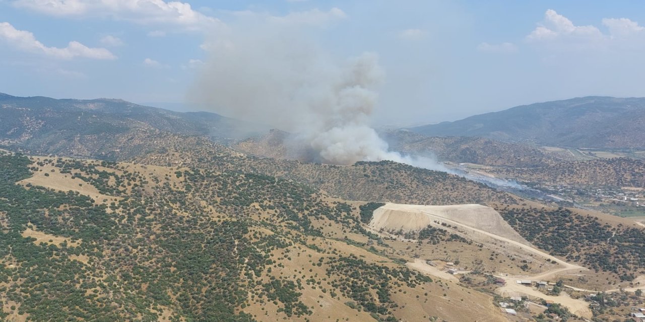 Aydın Savrandere'de ziraat alanında başlayan yangın ormana sıçradı