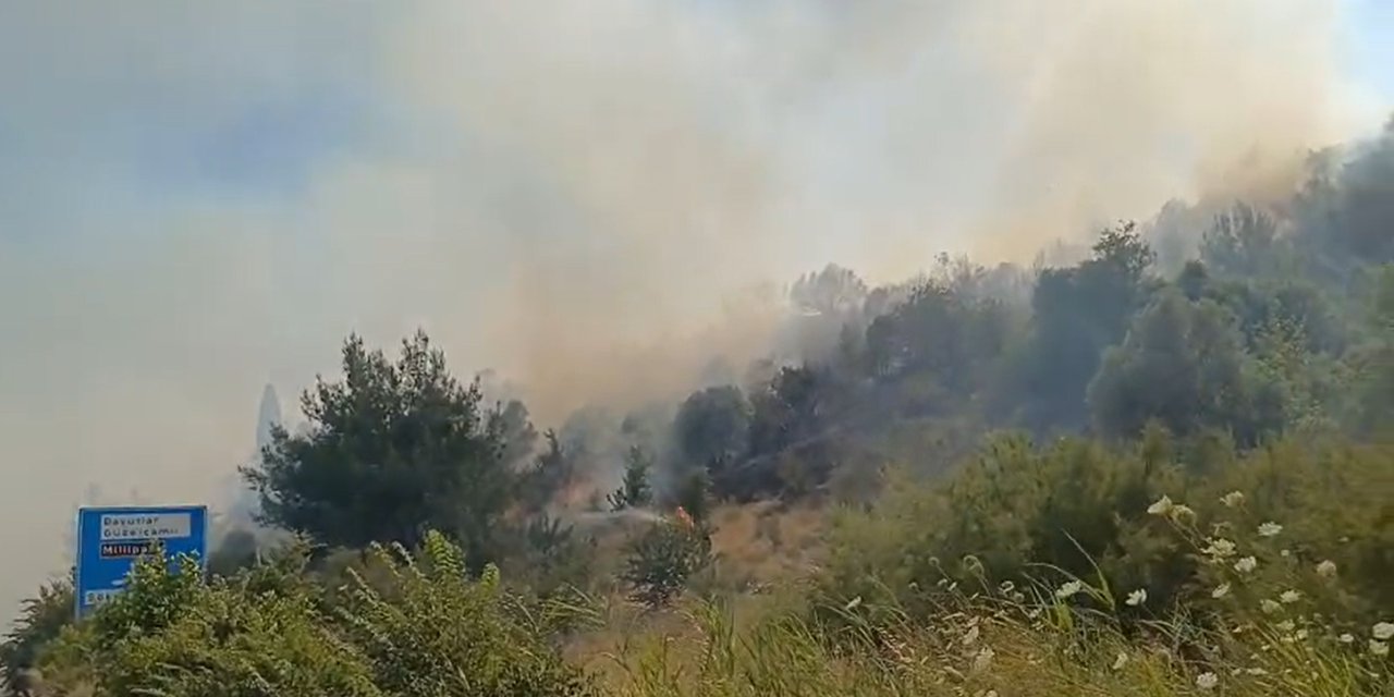 Aydın’da iki ayrı bölgede ziraat alanında yangın