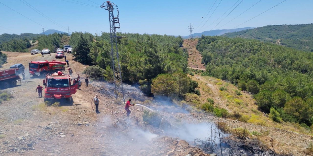 Marmaris Mezargediğinde çıkan yangın kısa sürede kontrol altına alındı