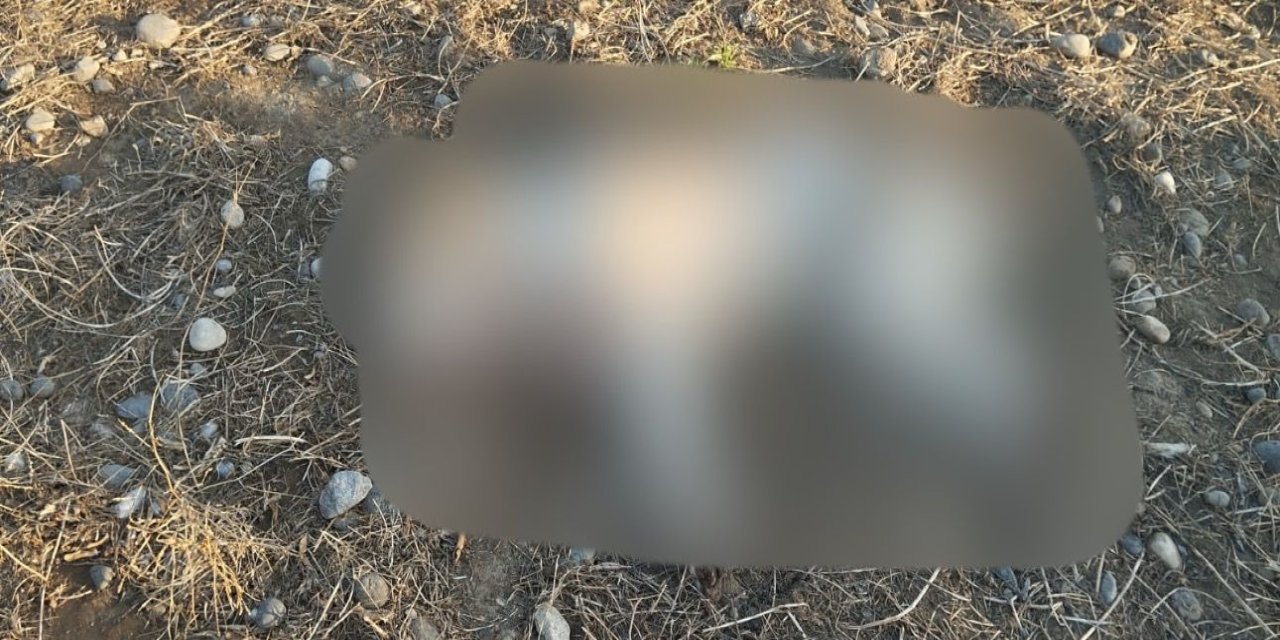 Köyceğiz’de komşusunun köpeğini vurdu