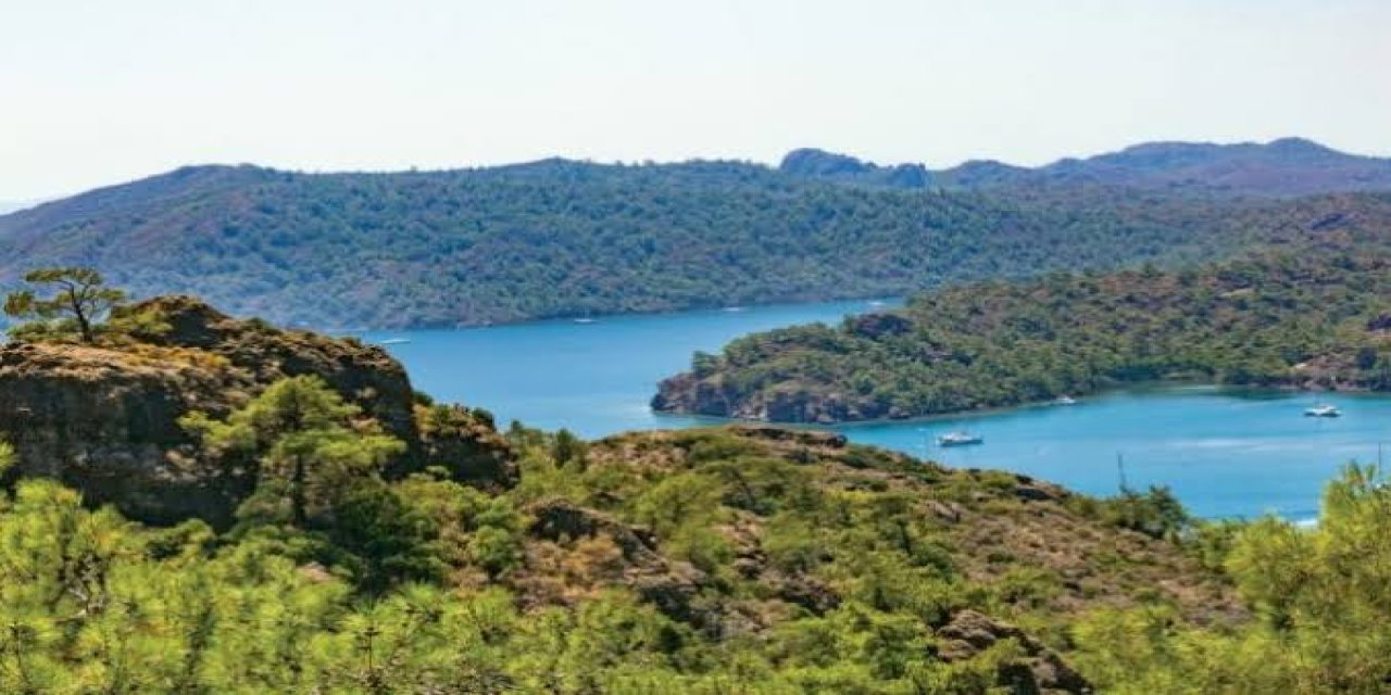 Muğla'da 31 Ekim'e kadar ormanlara giriş yasak