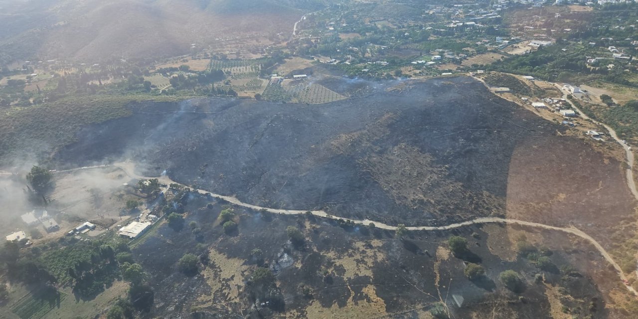 Bodrum’da makilik alanda yangın paniği