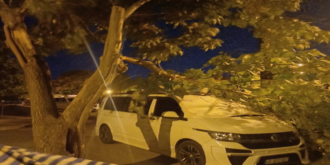 Marmaris’te fırtına: Ağaç dalı aracın üzerine düştü