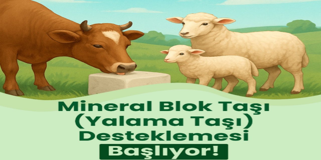 Büyükşehir’den hayvancılığa destek