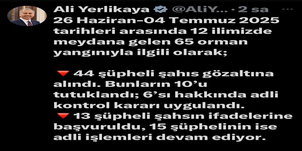 İçişleri bakanı Yerlikaya '12 ildeki 65 orman yangının 44 kişi yakalandı 10 kişi tutuklandı'