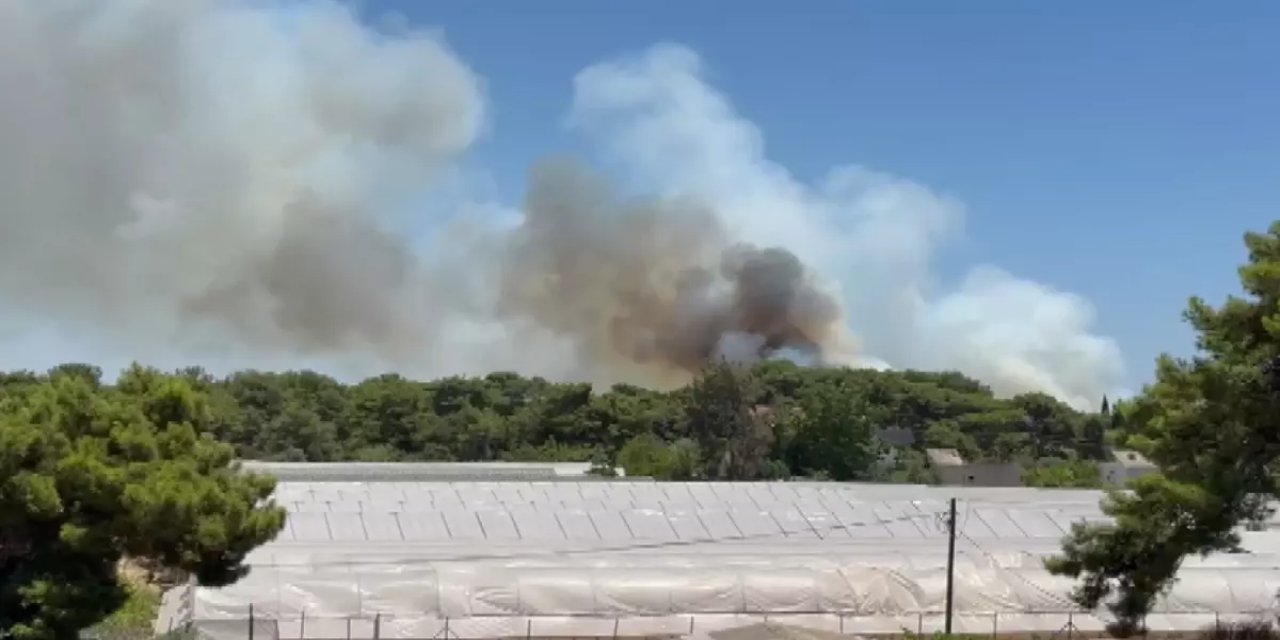 Antalya Muratpaşa'da yeniden orman yangını çıktı
