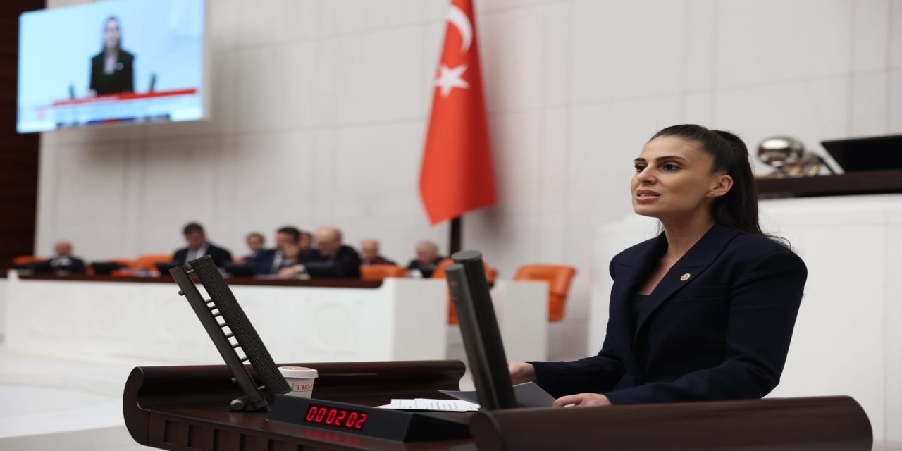 CHP Muğla Milletvekili Özcan” Akbük’te kıyı hakkı gasp edilemez”