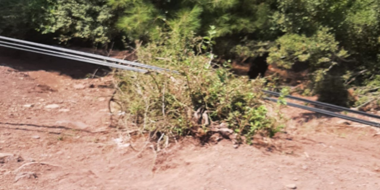 Armutalan ’da çöp yığınları ve devrilen elektrik direği tehlike saçıyor