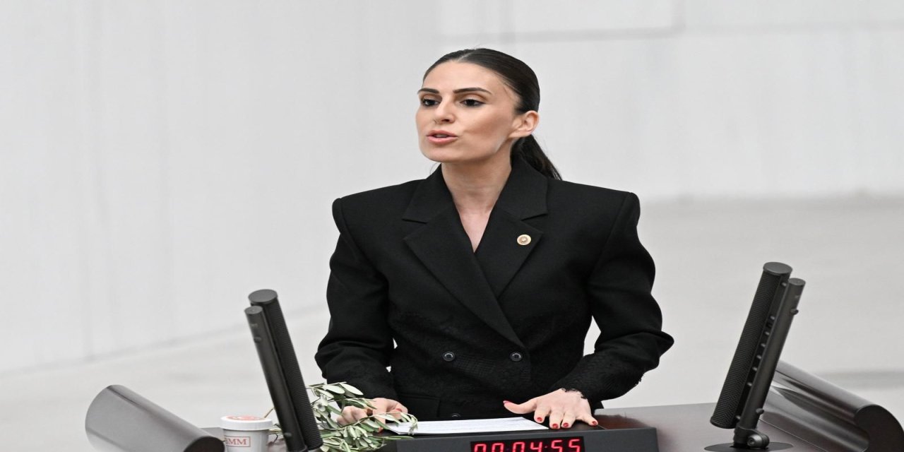 Muğla Milletvekili Gizem Özcan, “AKP’siz olur, zeytinsiz olmaz!”