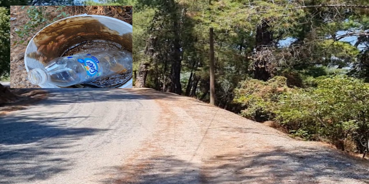Marmaris’te Ormanın kenarına benzin dökmüşler! Gönüllüler faciayı önledi