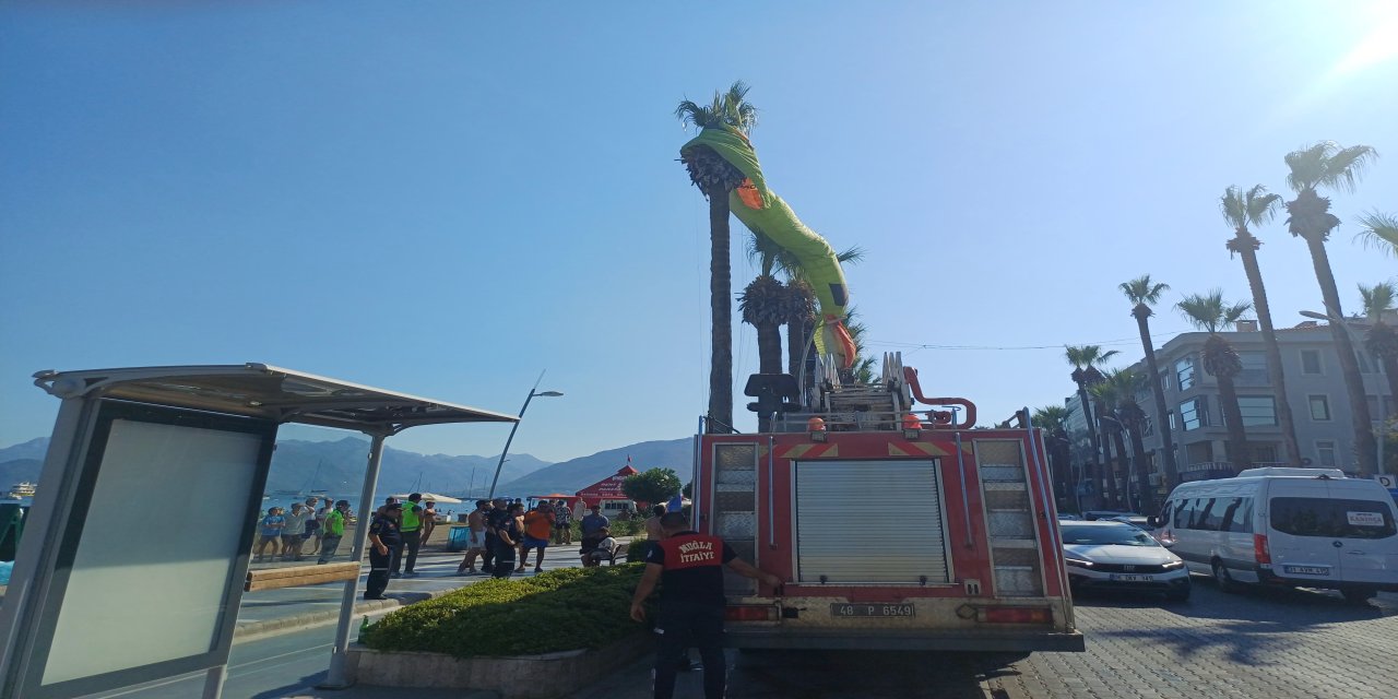 Marmaris’te deniz paraşütü palmiyeye takıldı: İtfaiye ekipleri müdahale etti
