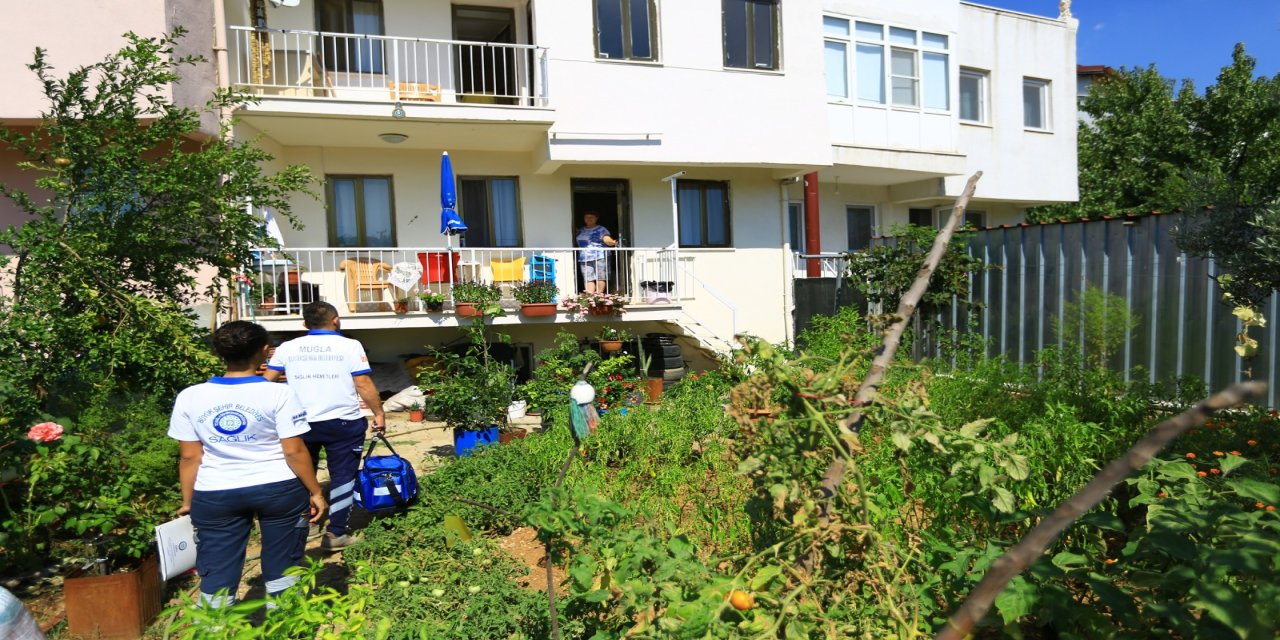 Büyükşehir'den 26 bin haneye şifa eli