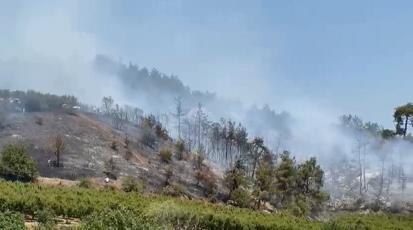 Bursa İznik orman yangını kontrol altında