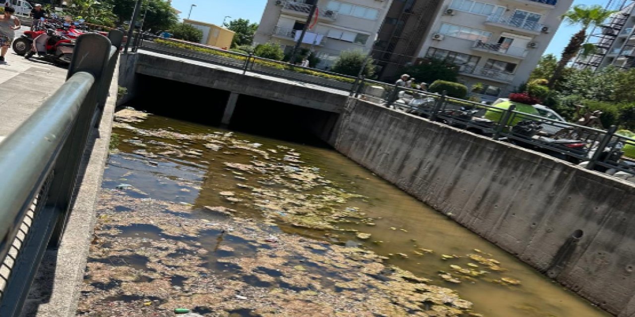 Marmaris’te dere kirliliği tepkisi: “Bu manzara ilçeye yakışmıyor”