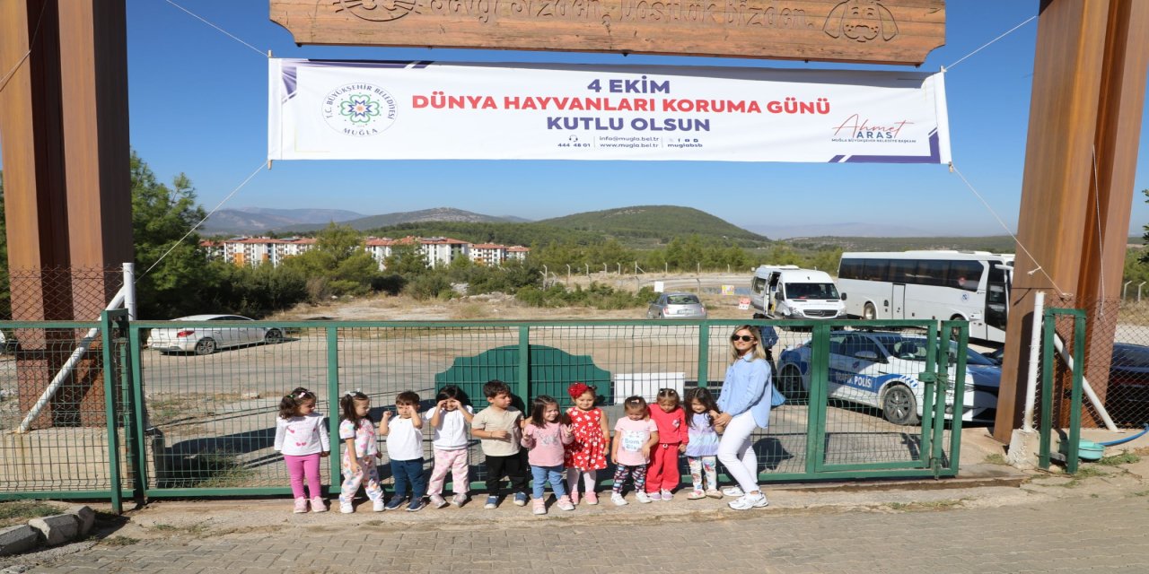 Muğla Büyükşehir geçici hayvan bakımevinde 3 bin 779 can dosta yeni yuva