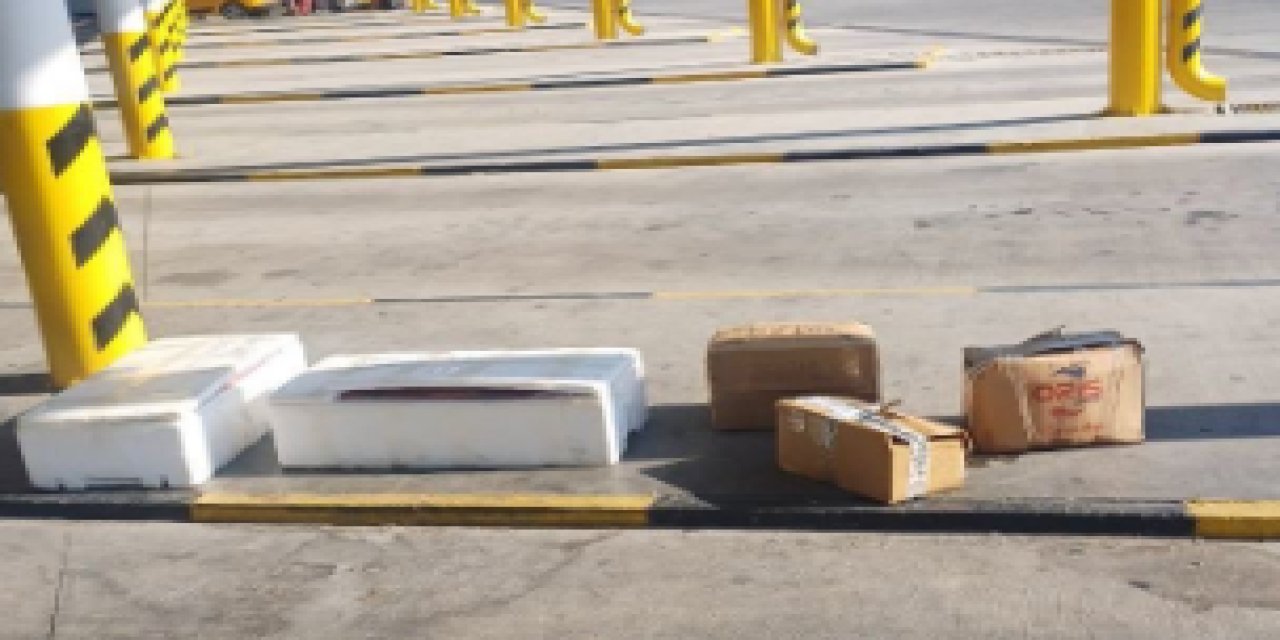 Muğla otobüs terminalinde sahipsiz midyelere el konuldu